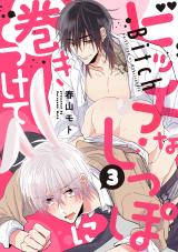 ビッチなしっぽに巻きつけて(3) パッケージ画像表
