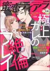 蜜恋ティアラ Vol.66 極上カレの絶倫プレイ パッケージ画像表