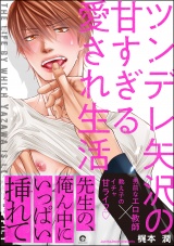 ツンデレ矢沢の甘すぎる愛され生活【電子限定かきおろし漫画付】 パッケージ画像表