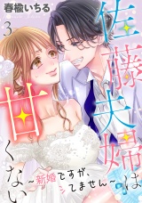 佐藤夫婦は甘くない〜新婚ですが、シてません〜 3 パッケージ画像表
