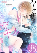 ヤクザと結婚なんてデキません!〜その女、男装女子につき〜 38 パッケージ画像表