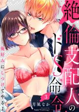 【ラブパルフェ】絶倫支配人のドS命令~俺好みにしつけてやるよ~ 3 パッケージ画像表