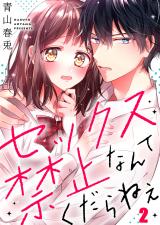 セックス禁止なんてくだらねえ2 パッケージ画像表