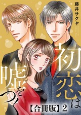 初恋は嘘をつく 合冊版2 パッケージ画像表