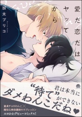 愛だ恋だはヤッてから【電子限定かきおろし漫画付】 パッケージ画像表