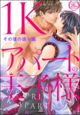 1Kアパートの王子様 その後の彼ら編 パッケージ画像表