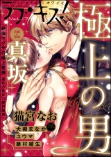 ラブキス!more Vol.17 パッケージ画像表