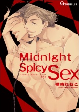 Midnight Spicy Sex パッケージ画像