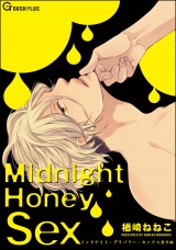 Midnight Honey Sex パッケージ画像