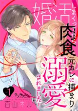 婚活しまくってたら肉食元カレに捕まり溺愛されました！1 パッケージ画像