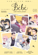 Bebe vol.6 パッケージ画像