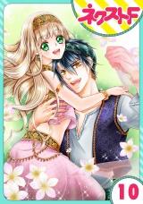 【単話売】盗賊王のおしのび花嫁 10話 パッケージ画像表