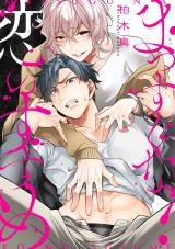 まっすぐな恋のすすめ パッケージ画像