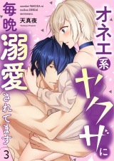 オネエ系ヤクザに毎晩溺愛されてます【描き下ろしおまけ付き特装版】 3 パッケージ画像