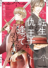 転生したら仇の王子に逢ってしまったのですが【SS付き電子限定版】 パッケージ画像表