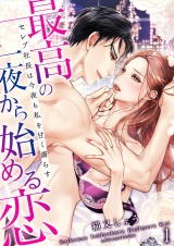 最高の一夜から始める恋〜セレブ社長は今夜も私を甘く濡らす〜(10) パッケージ画像表