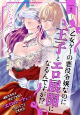 乙女ゲーの悪役令嬢なのに王子とエロ展開になるんですが!?(2) パッケージ画像表