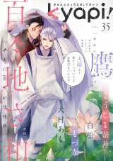 kyapi! vol.35 パッケージ画像表
