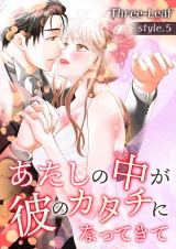 あたしの中が彼のカタチになってきて【合冊版・特典付】(5) パッケージ画像表