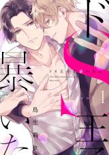 ドS王子を暴いたら1 パッケージ画像