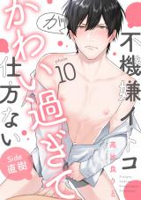 不機嫌イトコがかわい過ぎて仕方ない(10) side直樹 パッケージ画像表