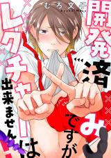 開発済みですがレクチャーは出来ません!(6) パッケージ画像表