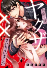 ダメ!あん!もう!再会0秒、ヤクザの××にされちゃいました パッケージ画像表