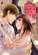 【新装版】夜の帳 密やかな恋 パッケージ画像表