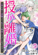 授か離婚～一刻も早く身籠って、私から解放してさしあげます！5 パッケージ画像