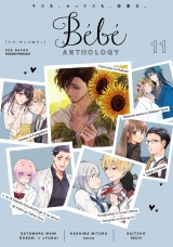 Bebe vol.11 パッケージ画像