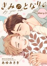 きみのとなりで diary.3 ～とある日の帰り道編～ パッケージ画像