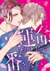 運命だけじゃ番えない(2) パッケージ画像