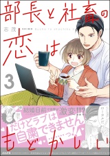 部長と社畜の恋はもどかしい （3） パッケージ画像