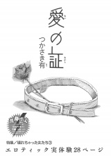 壊れちゃった女たち〜愛の証〜 パッケージ画像