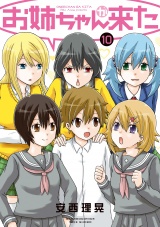 お姉ちゃんが来た　（１０） パッケージ画像