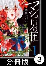 【分冊版】マシュリの匣3 パッケージ画像