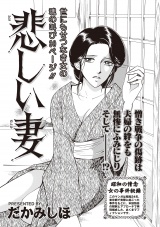 本当にあった主婦の黒い話vol.4〜悲しい妻〜 パッケージ画像