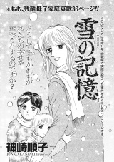 本当にあった主婦の泣ける話〜雪の記憶〜 パッケージ画像