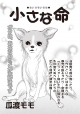 あなたの隣のモンスター主婦ＳＰ〜小さな命〜 パッケージ画像