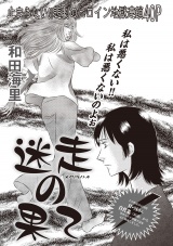 本当にあった主婦の黒い話vol.9〜迷走の果て〜 パッケージ画像