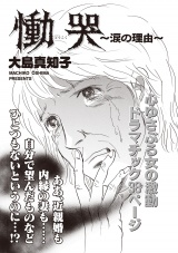 女のブラック履歴書 vol.3〜慟哭〜涙の理由〜〜 パッケージ画像