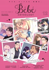 Bebe vol.12 パッケージ画像