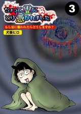 【分冊版】ちょっと霊にとり憑かれました3 パッケージ画像