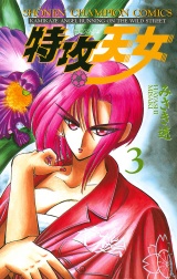 特攻天女　3 パッケージ画像