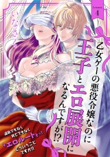 乙女ゲーの悪役令嬢なのに王子とエロ展開になるんですが!?(4) パッケージ画像