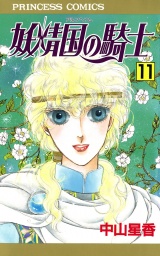 妖精国の騎士（アルフヘイムの騎士）　11 パッケージ画像