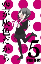空が灰色だから　5 パッケージ画像
