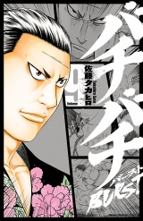 バチバチBURST　9 パッケージ画像