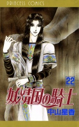 妖精国の騎士（アルフヘイムの騎士）　22 パッケージ画像