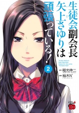 生徒会副会長矢上さゆりは頑張っている！　2 パッケージ画像